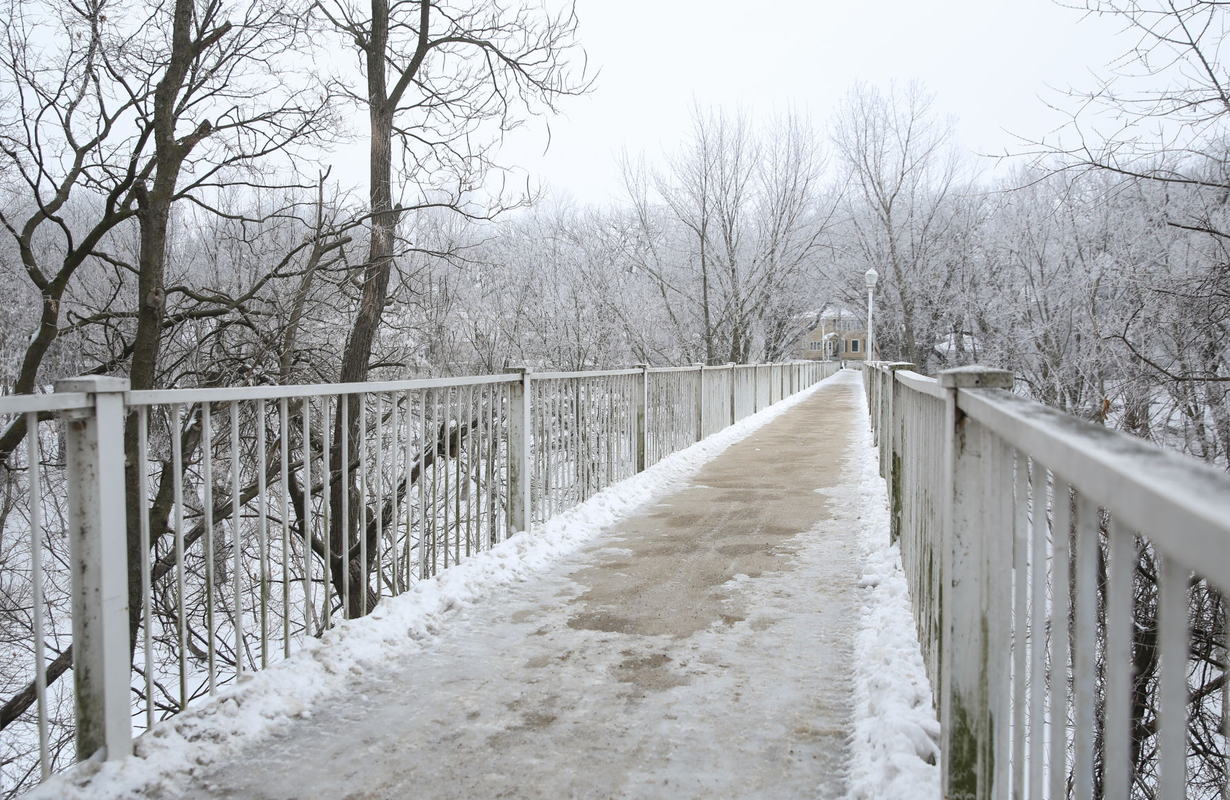 Frosty day - Feb. 2, 2020-1.jpg